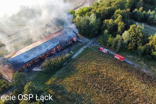 Pożar w Stadzie Ogierów w Łącku pod Płockiem