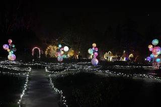 Spacer po wystawie Magiczny Botaniczny 2024/2025