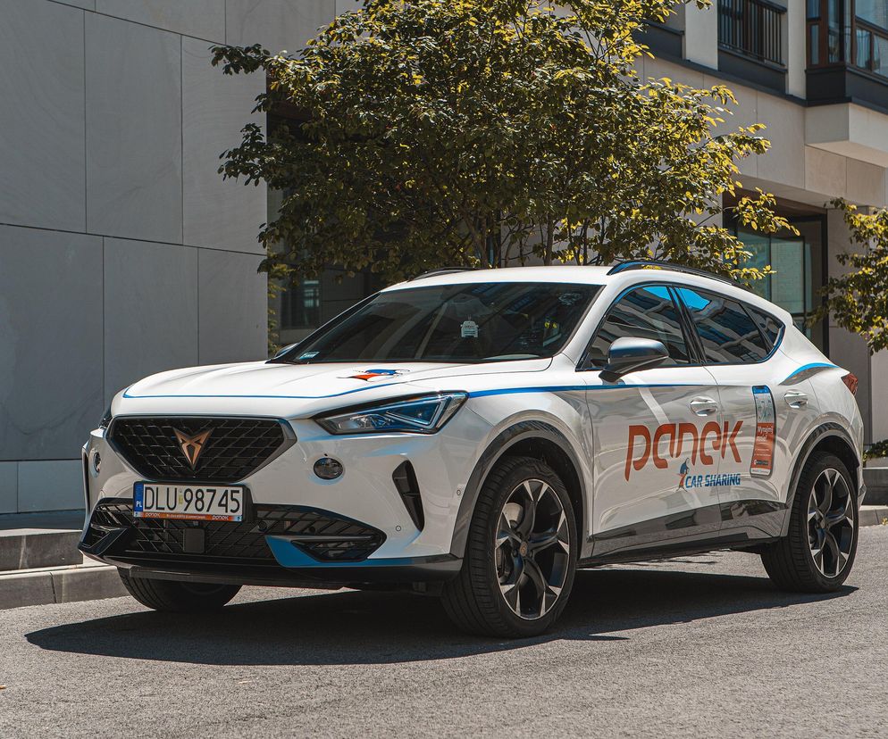 Cupra we flocie Panka