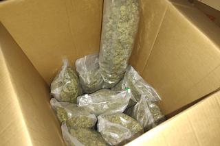 Szokujące odkrycie w magazynie pod Bydgoszczą. Policja mówi bez ogródek: Niecodzienny widok [ZDJĘCIA]