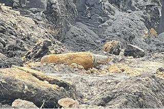 Niewybuch znaleziono przy kościele w Sosnowcu. Mieszkańcy domów są ewakuowani