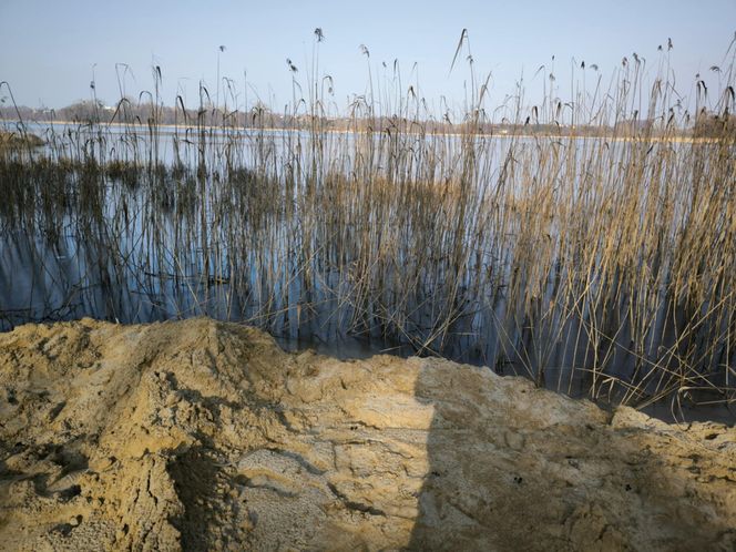 Osieczna przygotowuje plaże na Stanisławówce 