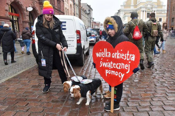 WOŚP 2025 w Toruniu. 33. Finał Wielkiej Orkiestry Świątecznej Pomocy - zdjęcia mieszkańców i gości ze starówki