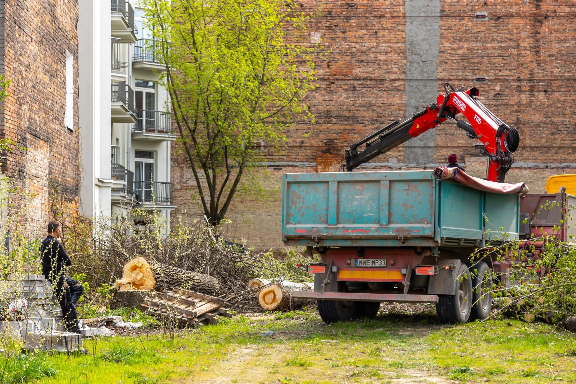 Nielegalna wycinka drzew przy ul. Radzymińskiej 14 w Warszawie