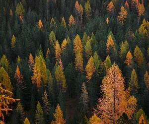 Tych lubelskich miejscowości nie znajdziesz już na mapie regionu! 