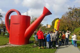 Pastwisko dla koni w Sosnowcu