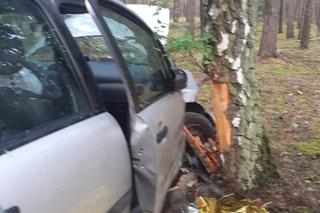 Tragedia w Wielkopolsce. Samochód rozbił się na drzewie 