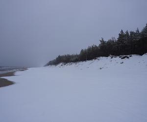 Plaża w Dźwirzynie