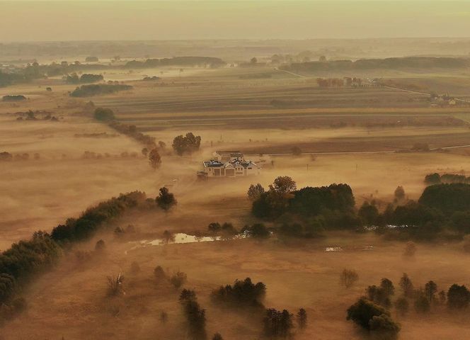 Ponidzie. Konik polski