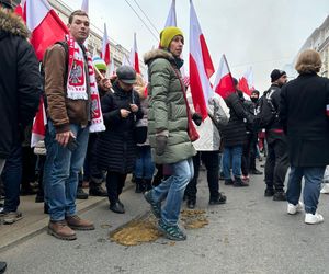 Dlaczego na Marszu Niepodległości 2024 w Warszawie tak śmierdziało? Końskie łajno to nie wszystko