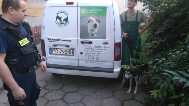 Wyprowadzili się z mieszkania, zostawijąc tam zamkniętego psa.