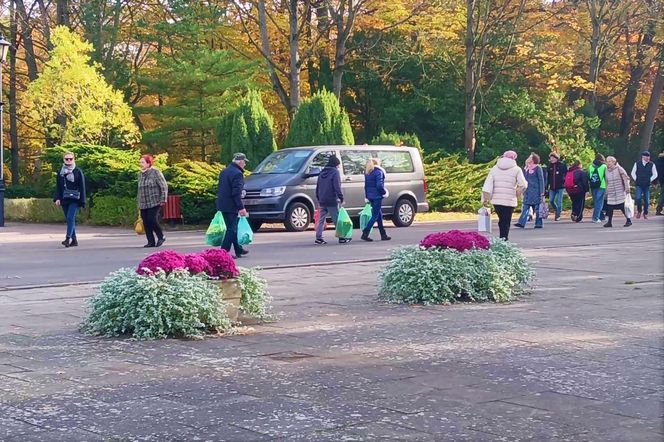 1 listopada na Cmentarzu Centralnym w Szczecinie