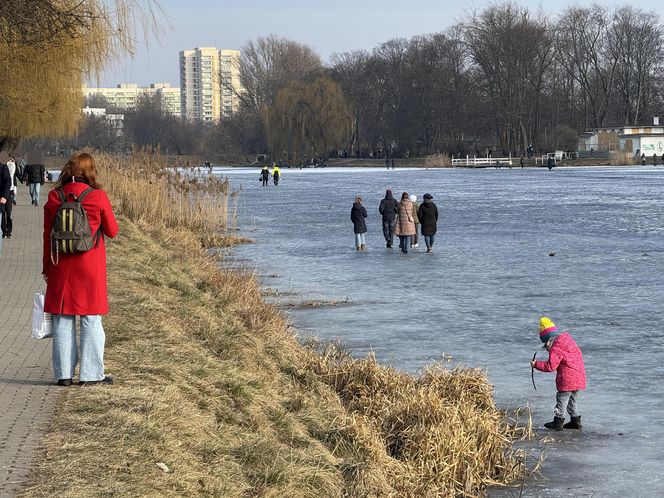 Skrajna nieodpowiedzialność. Spacerują po płytkim lodzie z dziećmi i psami. Dramat na Pradze-Południe w Warszawie