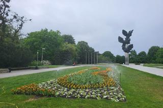 Kwiatowe kompozycje ozdobiły Szczecin