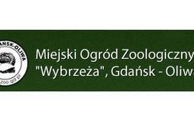 www.zoo.gd.pl