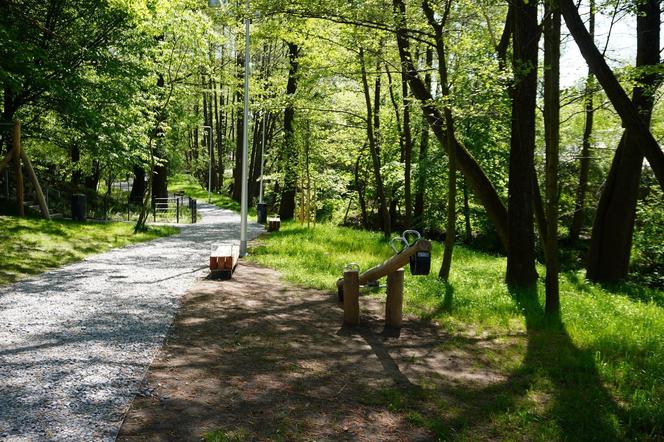 Tak wygląda park w dolinie Ślepiotki w Katowicach