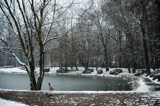 Skawiński park w zimowej otoczce