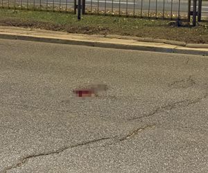 Wbiegł prosto pod cysternę i przeleciał kilkanaście metrów! Stan krytyczny