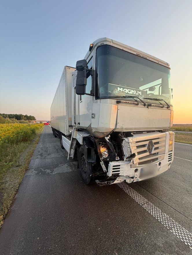 Śmiertelny wypadek na S17 w Gocławiu