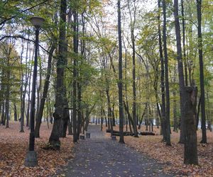 Park Lubomirskich w Białymstoku jesienią 