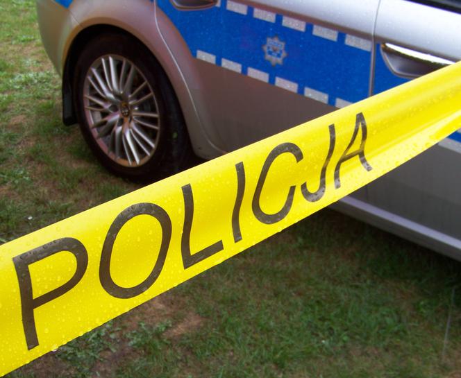 Tragiczny wypadek podczas załadunku drewna. Nie żyje mężczyzna