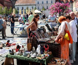 Mikołowski Jarmark Staroci to raj dla kolekcjonerów. Znaleźć można prawdziwe skarby