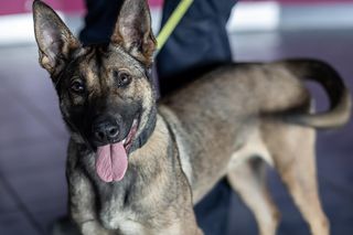 Poznańska policja odbyła ćwiczenia w zamkniętym Multikinie 51