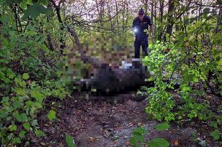 Makabryczne odkrycia przy budowie A2 na Mazowszu. Niewytłumaczalna fala zabójstw