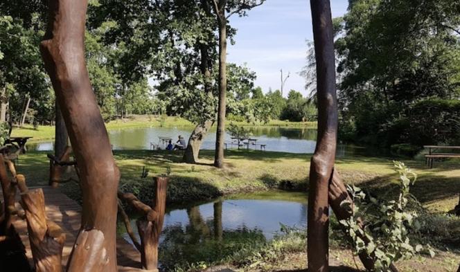 Tu wystąpią znani artyści