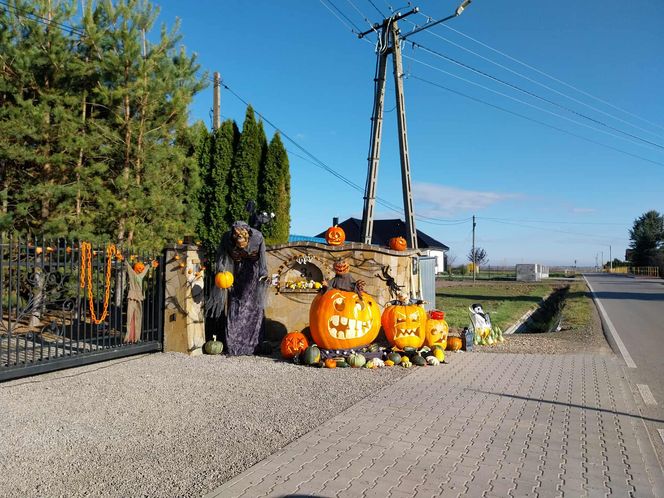 U Łukasza z Pawłowa hasło "cukierek albo psikus" nabiera innego wymiaru. Najbardziej halloweenowy dom świętokrzyskiego
