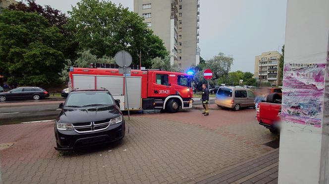 Powalone drzewo po burzy