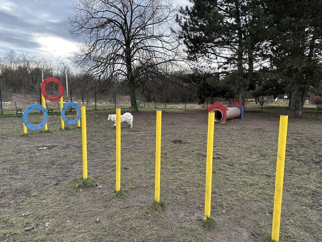 Psi park na ul. Maratońskiej w Łodzi