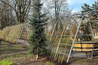 Park im. Wyspiańskiego już zmodernizowany. Jakie zmiany czekają na mieszkańców?