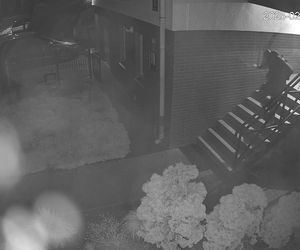 Ktoś rozpylił śmierdzącą substancję na samochód i budynek