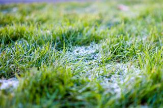 Alarm meteorologów! TAK ZIMNO nie było dawno! [OSTRZEŻENIE IMGW 19.04, PROGNOZA POGODY NA NIEDZIELĘ]