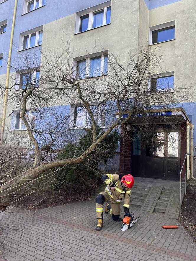 Straż pożarna zachodniopomorskie