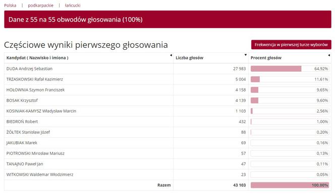 Wybory prezydenckie 2020: Jak głosowali mieszkańcy Podkarpacia