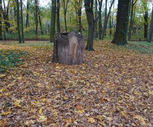Park Sołacki w Poznaniu jesienią