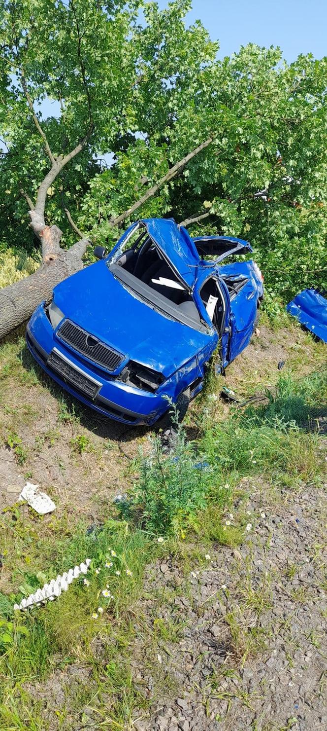 Koszmarny wypadek pod Płockiem! 35-latek uwięziony w skodzie nie żyje [ZDJĘCIA]