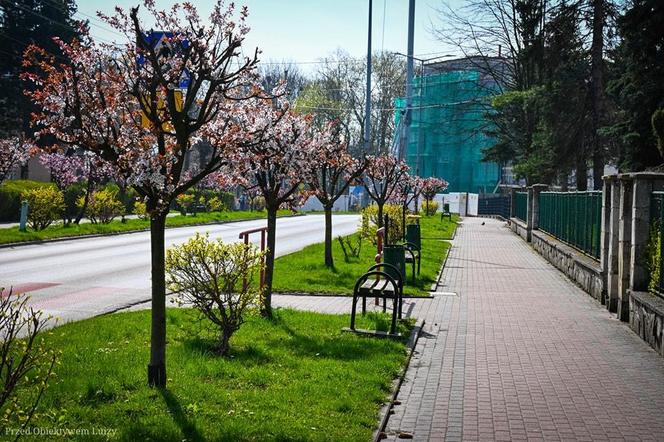 To najbiedniejsze miasteczko w województwie świętokrzyskim