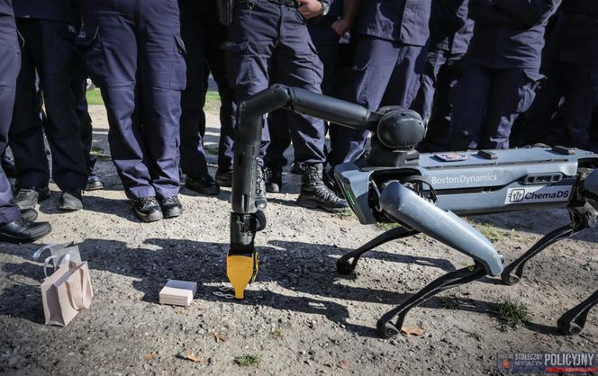 Robopies odwiedził i ćwiczył z warszawskimi policjantami