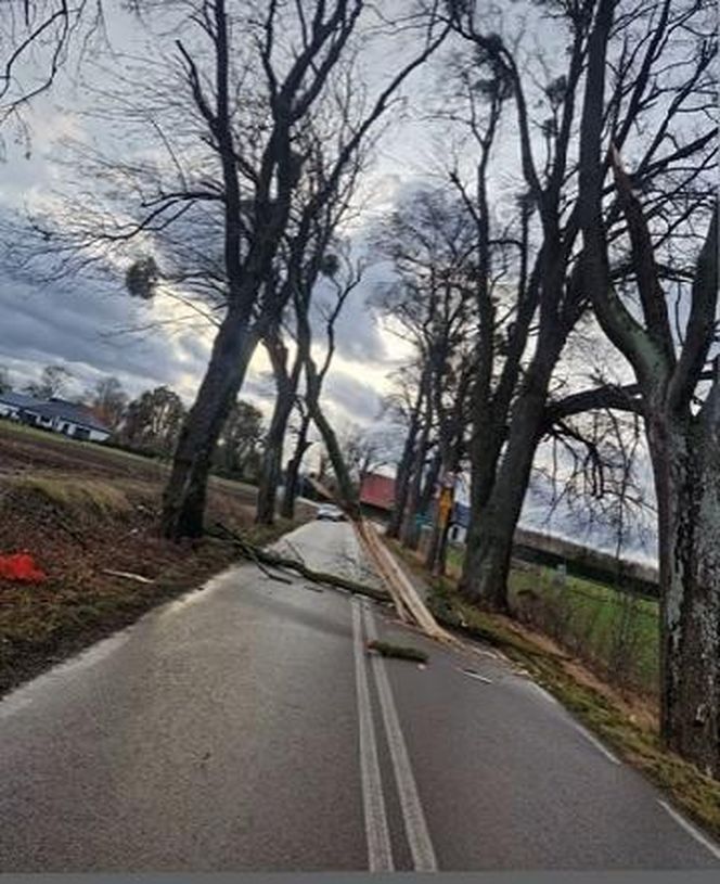 Wichury nie ustępują, jest coraz gorzej. W województwie pomorskim zdarzeń jest najwięcej