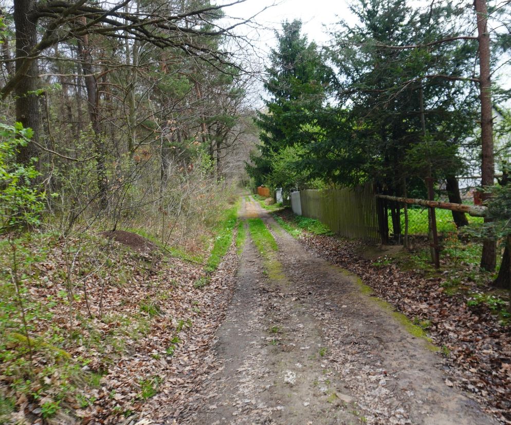 Nawet 12 stopni w Świętokrzyskiem. Idzie duże ocieplenie