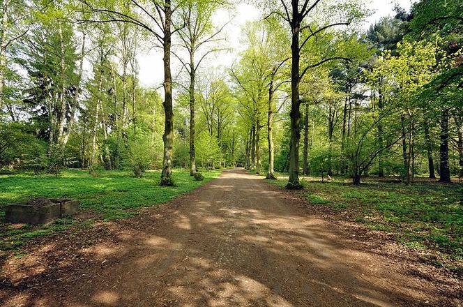 Park Grabiszyński