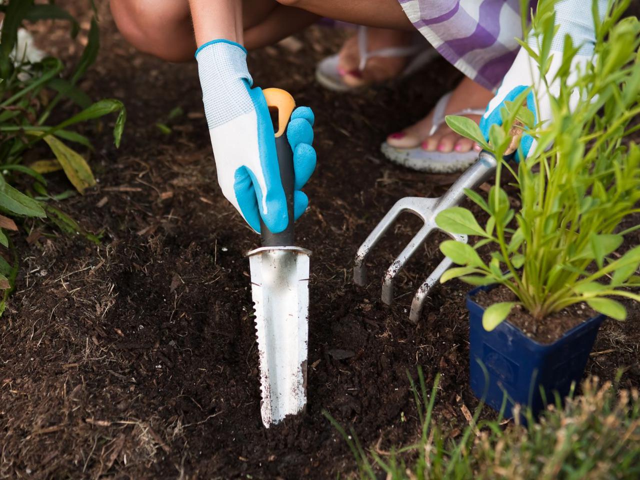 Wiosenne prace: sadzenie i nawożenie bylin