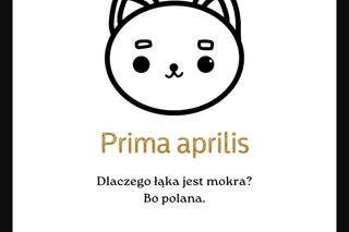 Najgorsze suchary na Prima Aprilis. Rozbawią albo nie. Oto najlepsze czerstwe dowcipy na 1 kwietnia