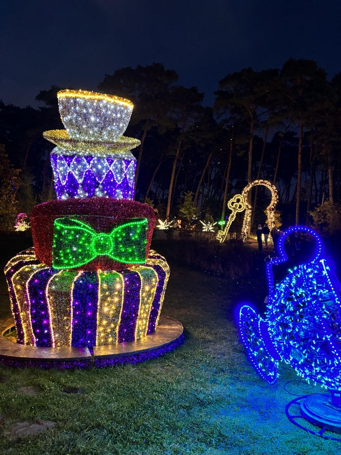 Lumina Park Poznań w święta 