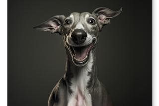 Koty i psy w humortstycznym ujęciu