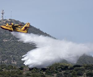 Znowu pożary w Grecji! Żywioł jest blisko Aten