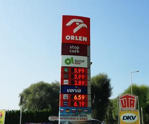Jak prezentują się obecne ceny paliw na stacjach w Rzeszowie? 